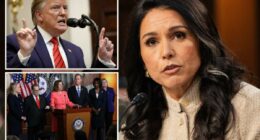 Tulsi Gabbard exposes the flimsy âfalse narrativeâ intel community watchdog pushed to impeach Trump in 2019